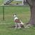 Lori Rasmussen's profile image