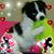 Teresa Evans's profile image