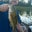 John Doucette's profile image