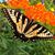 Lisa Johnston's profile image
