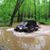 Donald Penny Reed Permenter's profile image
