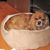 Jacqueline Evans's profile image