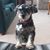 Jill Kreutzer's profile image