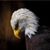 Emily Tirrell's profile image