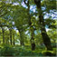 Susan Sponheimer's profile image