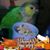 Teresa Rokop's profile image