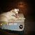 Bonnie Saylors's profile image