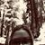 Clayton McClure Brooks's profile image