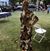 Yvonne Harris-Taylor's profile image