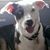 Lori N Wheatley Rowland's profile image