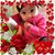 Rickie Duitsman's profile image
