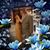 Steven Farrell's profile image
