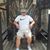 Chris Ferraioli's profile image