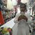Rajan Saluja's profile image