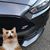 Brandon Erkenbeck's profile image