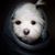 Larios Mary's profile image
