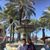 Xiomara Vides's profile image