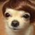 Howie Finn's profile image