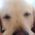 Chase Roan's profile image