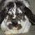 Holly Rosser's profile image