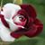 Janice Maxwell's profile image