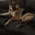 Tammy Cooper-Donahoo's profile image