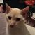 Dave Holman's profile image