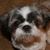 Rita Collins Mchugh's profile image