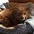 Beth Shingledecker's profile image