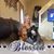 Michelle Rena Pass's profile image