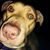 LaMonica White's profile image