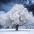 Kimberly Dugan Foreback's profile image