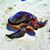Beach Eyes's profile image