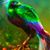 Tanya D. Williams's profile image