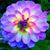 Bea Plusar's profile image