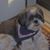 Jean Murphy's profile image