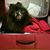 Brenda Salter's profile image