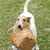 Michelle Trotter's profile image
