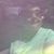Rebecca A. Casper's profile image