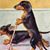 Diane Trost's profile image