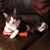 Karen Luhring's profile image