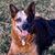 Rick Dusek's profile image