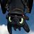 Tiffany Altschwager's profile image