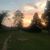 Susan Causey's profile image