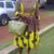 Joyce Monger's profile image