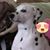 Colleen Weaver's profile image