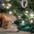 Sandy Rosbach-Newhall's profile image
