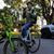 David Menhard's profile image