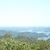 Beth McDougall- Inwood's profile image