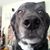 Fawn Swisher's profile image
